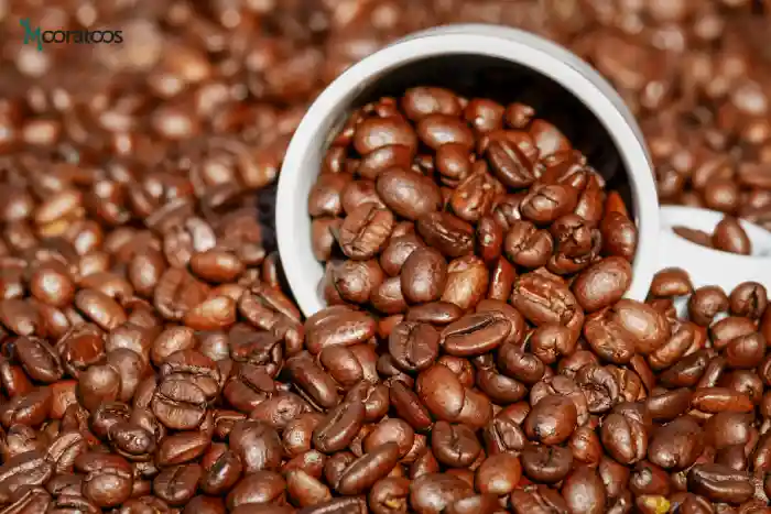 برای داشتن قهوه پر کافئین چه نوع رستی مناسب است؟