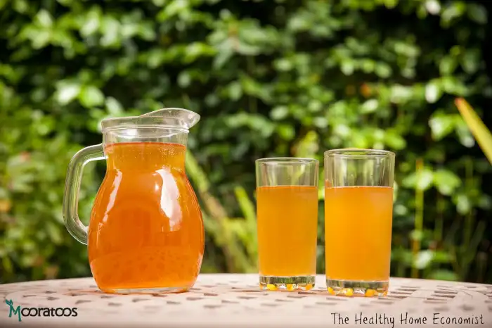 kombucha-tea-in-a-pitcher_mini