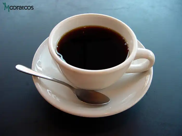 دلایل بد طعم شدن قهوه چیست؟