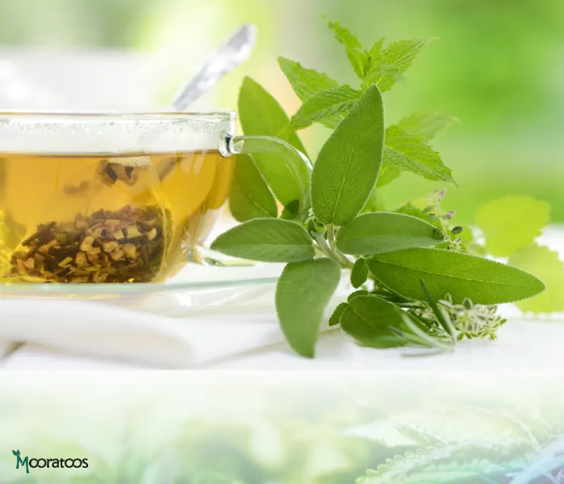 ترکیب گلرنگ و چای سبز برای بهار