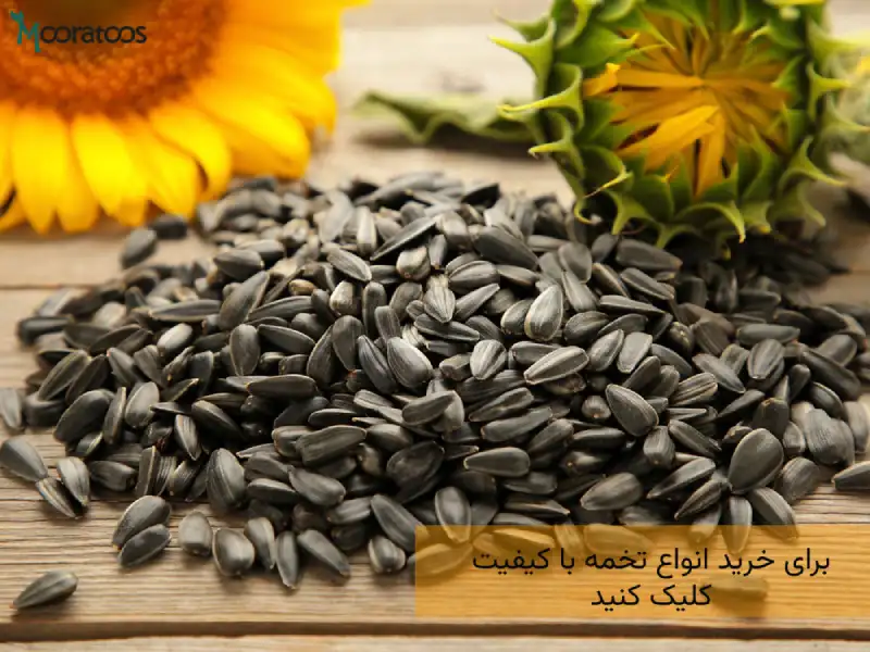 02-Properties-of-sunflower-seeds