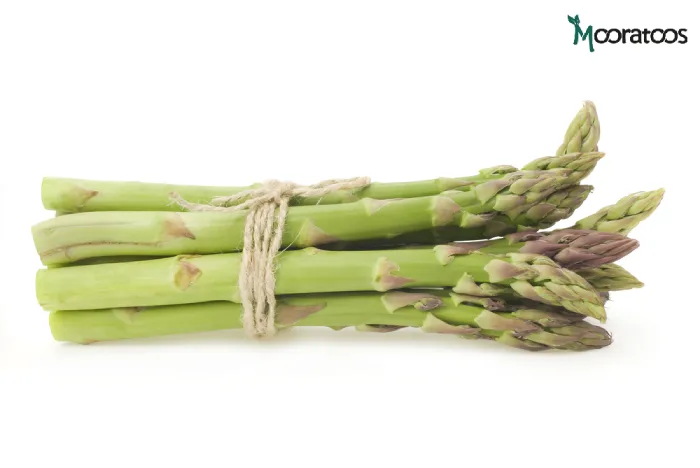 خواص مارچوبه در بدنسازی