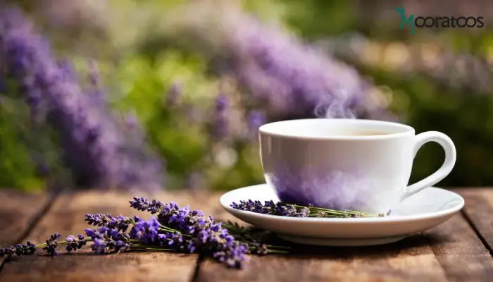 دمنوش اسطوخودوس، یک دمنوش خوابآور قوی