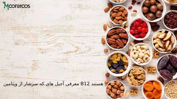 معرفی آجیل های که سرشار از ویتامین B12 هستند!