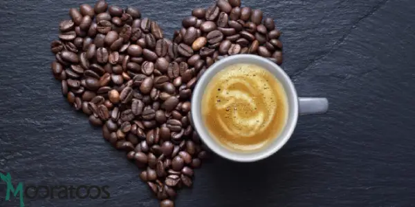 قهوه چیست؟ هر آنچه که باید در خصوص قهوه و دانه قهوه باید بدانید!