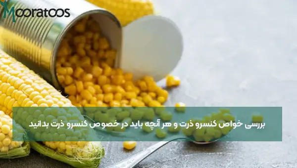 بررسی خواص کنسرو ذرت و هر آنچه باید در خصوص کنسرو ذرت بدانید