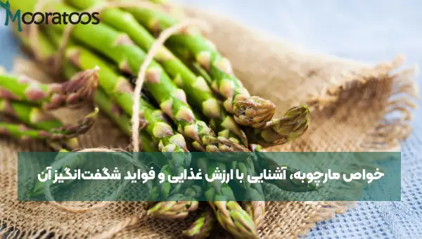 خواص مارچوبه، آشنایی با ارزش غذایی و فواید شگفت‌انگیز آن