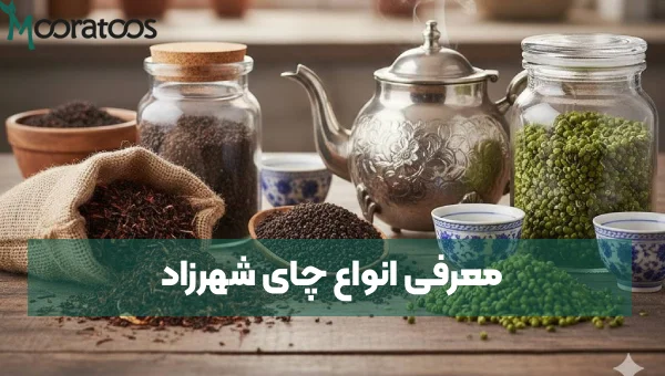 معرفی انواع چای شهرزاد + بهترین طعم از دید مصرف کنندگان