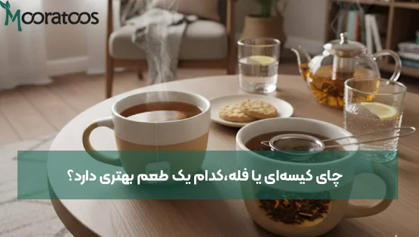 چای کیسه‌ای یا فله،کدام یک طعم بهتری دارد؟ کدام یک را انتخاب کنیم؟