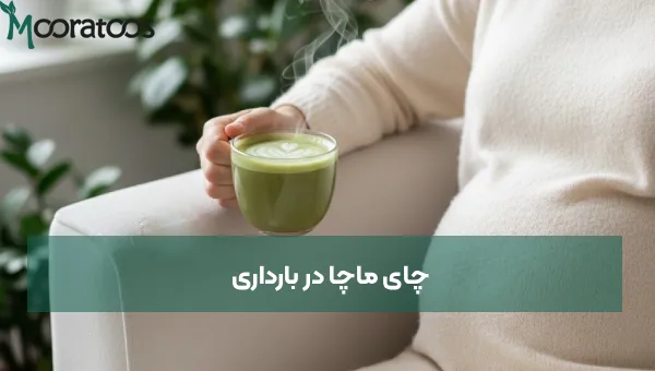 چای ماچا در بارداری| آیا چای ماچا برای بارداری ضرر دارد؟
