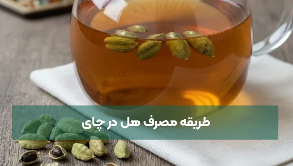 طریقه مصرف هل در چای + مزایا و خواص مصرف هل در چای