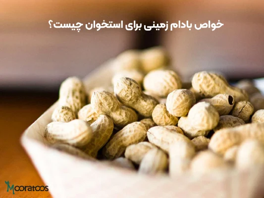 خواص بادام زمینی برای استخوان چیست؟