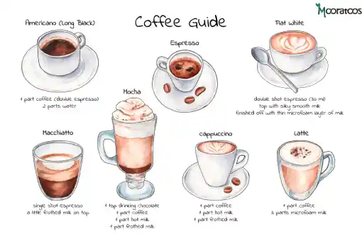 تفاوت انواع قهوه در چیست؟