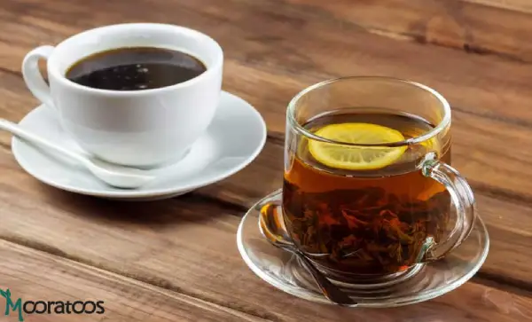 کافئین چای بیشتر است یا قهوه