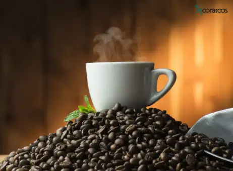 فواید و مضرات قهوه برای سلامتی! 10 مورد از خواص و مضرات قهوه برای سلامتی