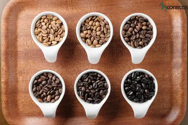 آشنایی با انواع دانه قهوه و روش ترکیب آن ها با هم