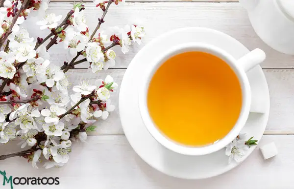 چای سن پین چا (Sanpin-cha) چیست؟