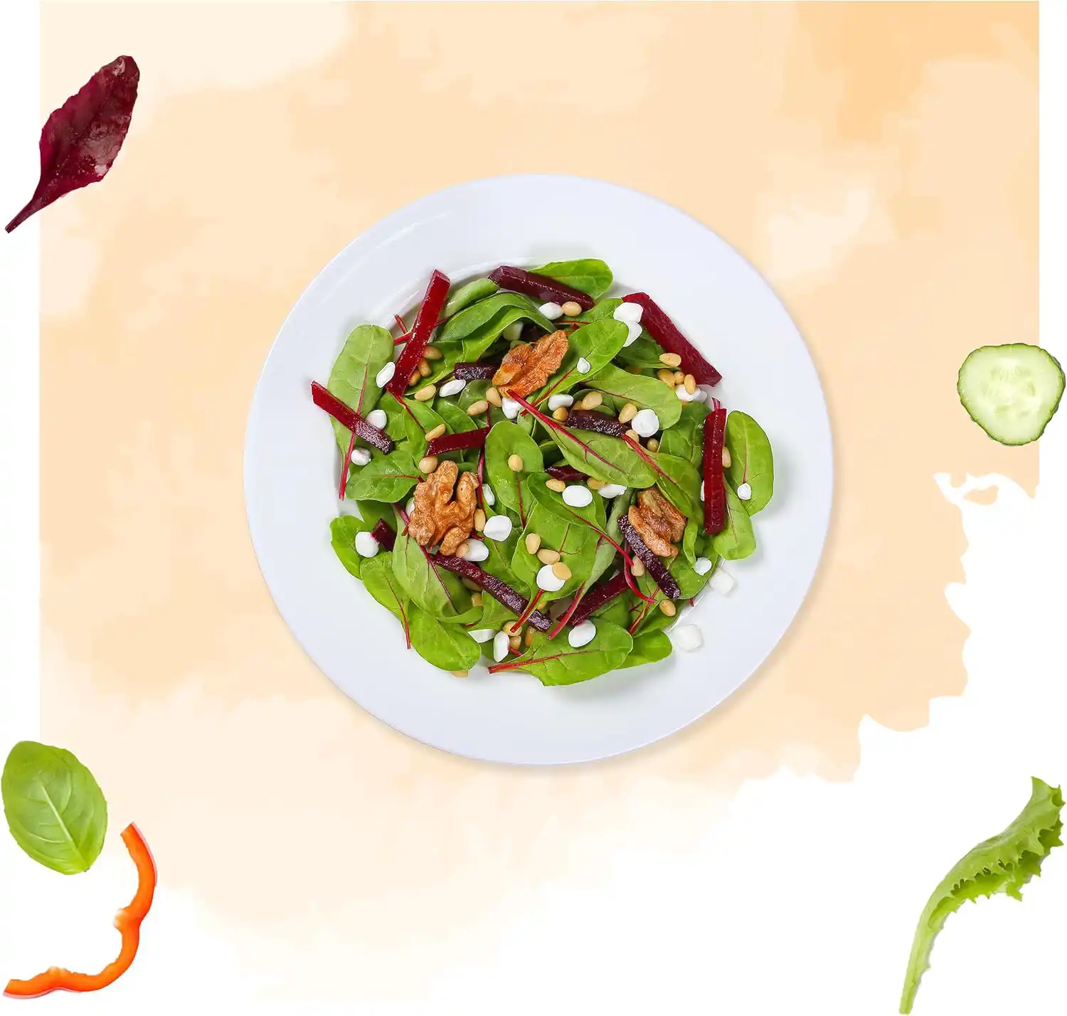 سس سالاد رنچ امریکن گاردن 267 گرم