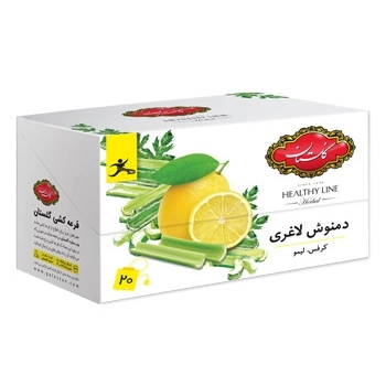 دمنوش کیسه ای لاغری گلستان بسته 20 عددی